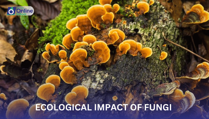 Lesson 10: Ecological Impact of Fungi in Decomposition